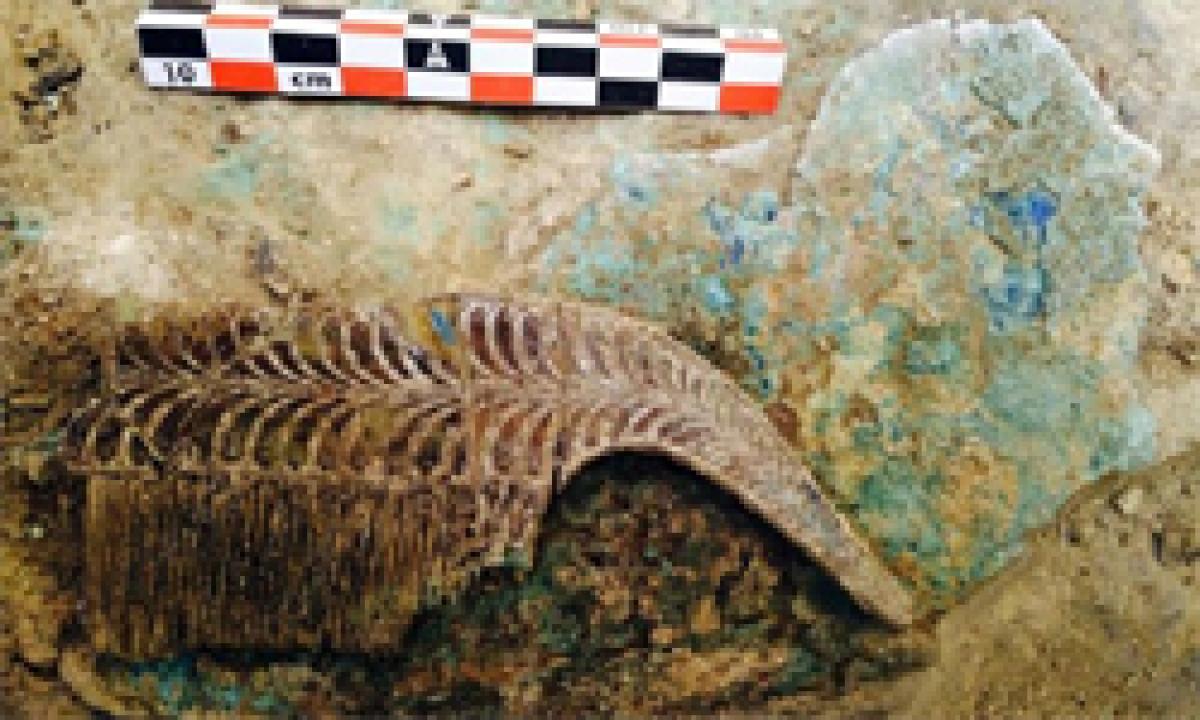 Archaeologists unearth skeleton of ancient warrior in Greece